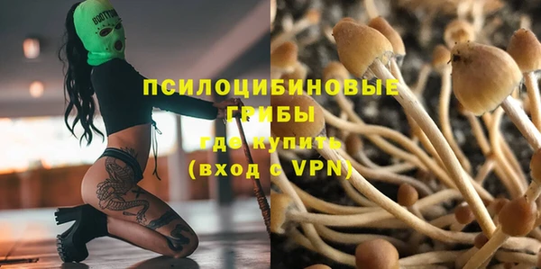гидропоника Балахна