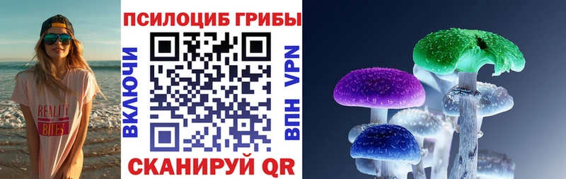 наркота  Можга  Псилоцибиновые грибы прущие грибы 